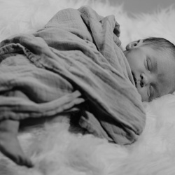 Newborn