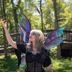 Ohio Ren Fantasy Weekend